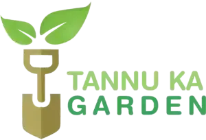 Tannu Ka Garden