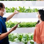 fastest growing vegetables at home in india