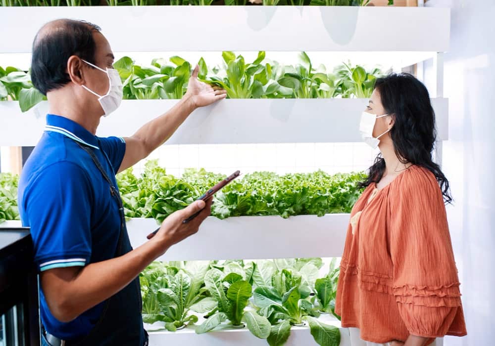 fastest growing vegetables at home in india