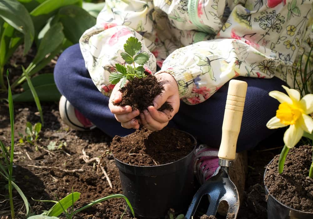 gardening tips on youtube