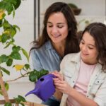 tips for indoor gardening in rajasthan