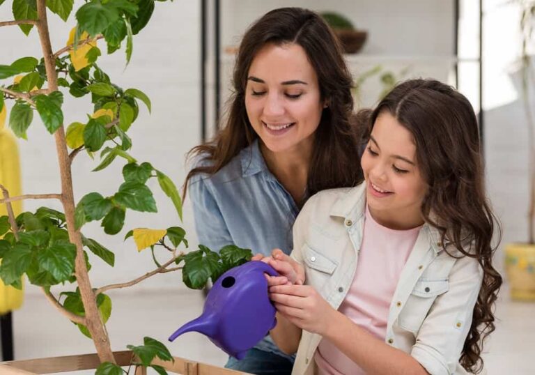 tips for indoor gardening in rajasthan