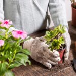 gardening tips