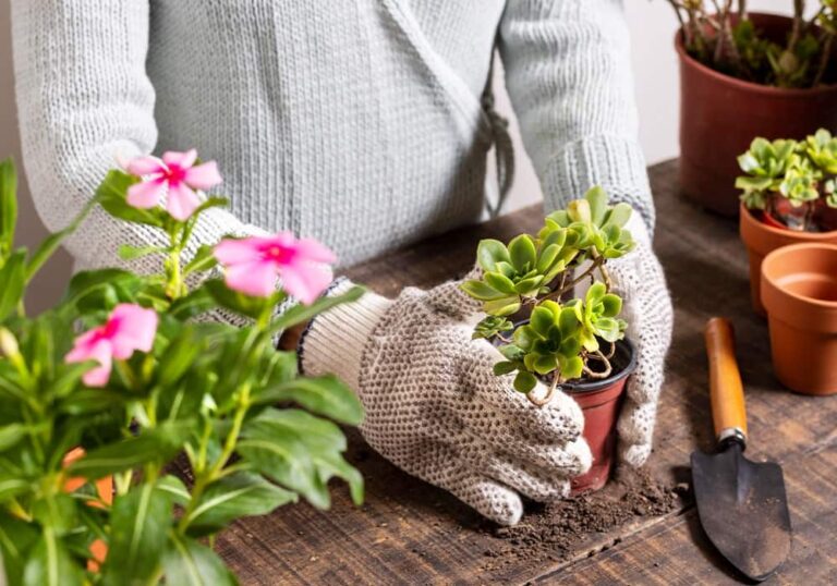 gardening tips